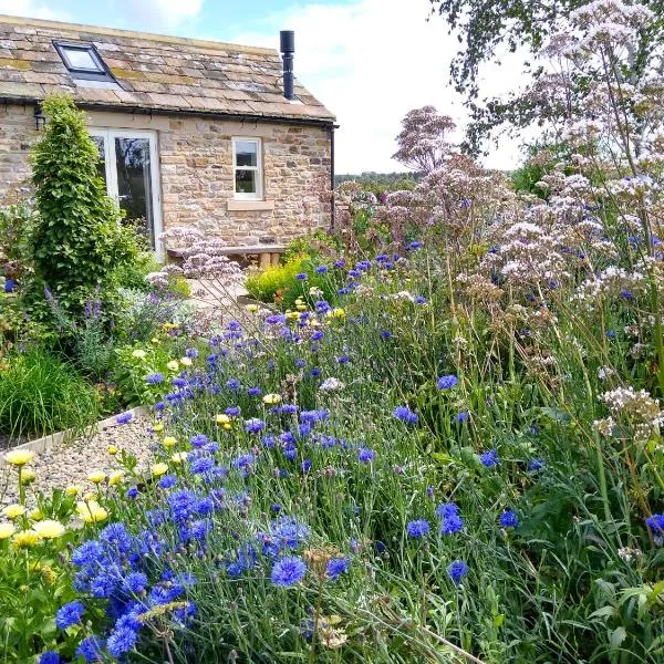 Birch Bothy, peaceful rural retreat, hotel v destinaci Hexham