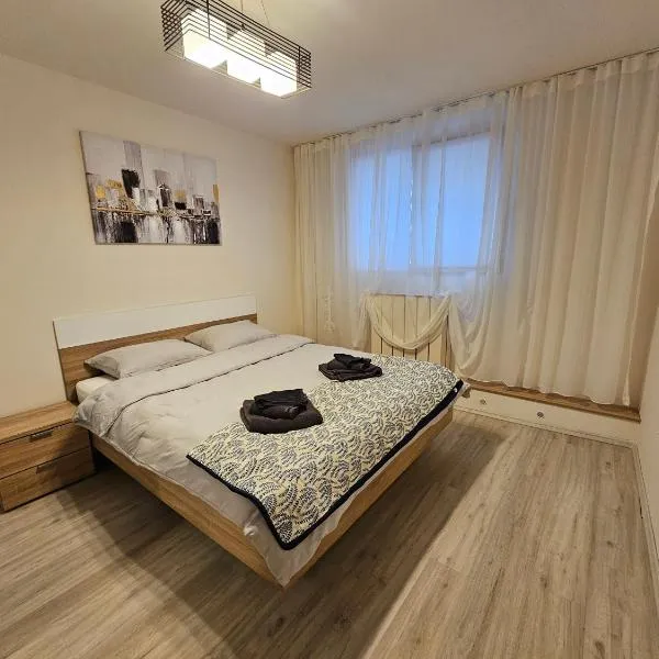 Central Crib, hôtel à Iaşi