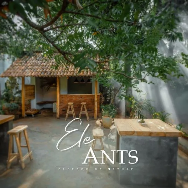 Ele Ants, hotel v Udawalawe
