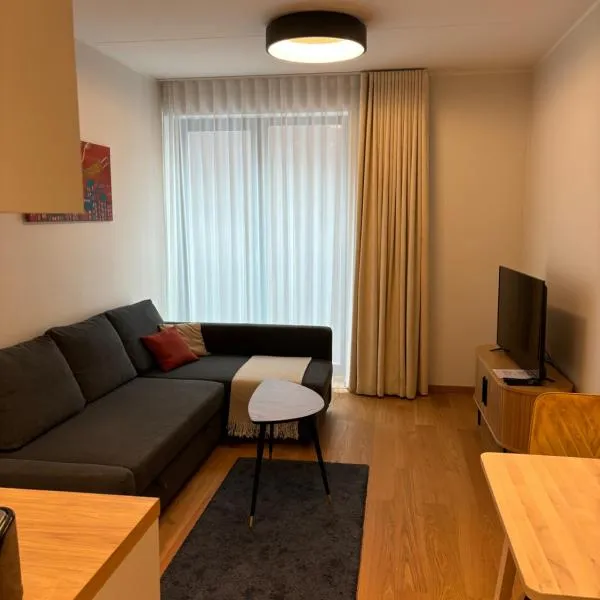 Small apartment near city centre，位于塔尔图的酒店
