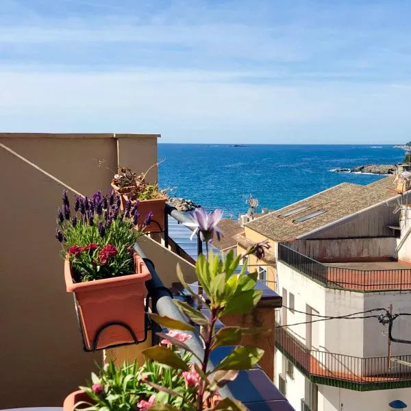 Hotel Medium Montecarlo, hotel v destinaci Llafranc