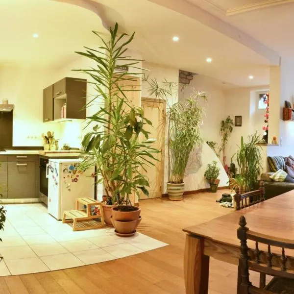 Chaleureuse maison Nancéienne, hôtel à Nancy