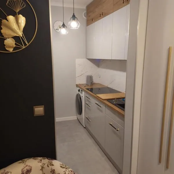 Apartament Koszutka, hotel di Katowice