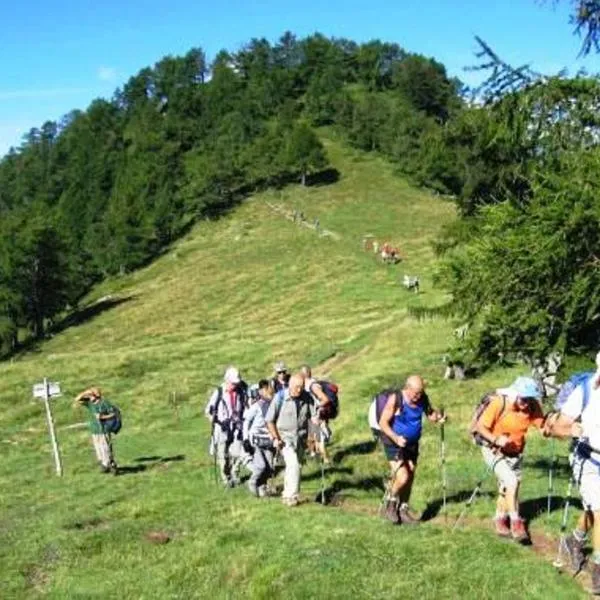 Casa Vacanze Primula palinuri, viešbutis mieste San Biase