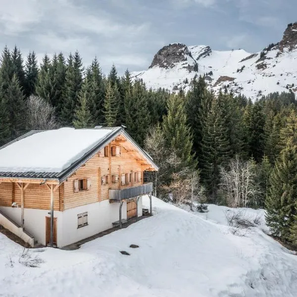 Chalet Les Amborzales – hotel w mieście Taninges
