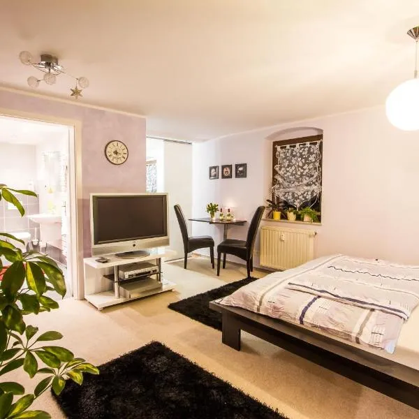 Viesnīca Idyllische Ferienwohnung am Pillnitzer Schlosspark Drēzdenē
