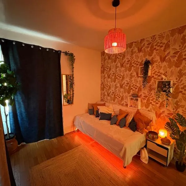 Calme cosy avec wi-fi près du parc, hotel v destinácii Caluire-et-Cuire