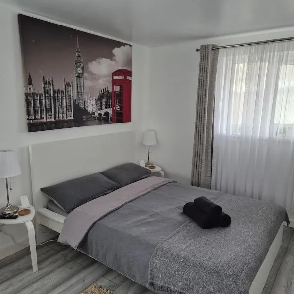 Garden Self Contained Studio in London，位于伦敦的酒店