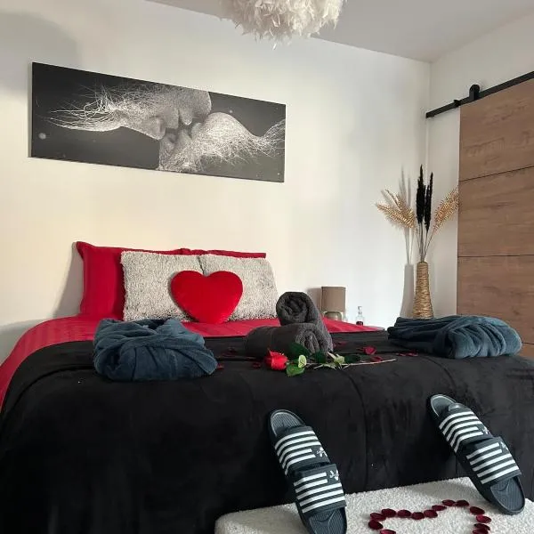 Love room proche du bassin , jacuzzi, jardin privé, hotel a Marcheprime