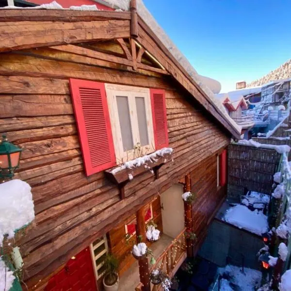 MeenaBagh Villa Rooms & Cafe, hotel in Shimla