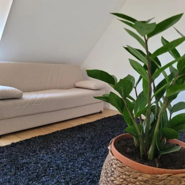 Ferienwohnung Hausnummer 1, Kontaktloser Self check-in, hotel en Zweibrücken