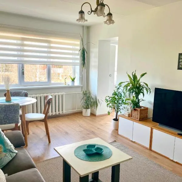 Vabaduse apartment, hotel v destinaci Võru