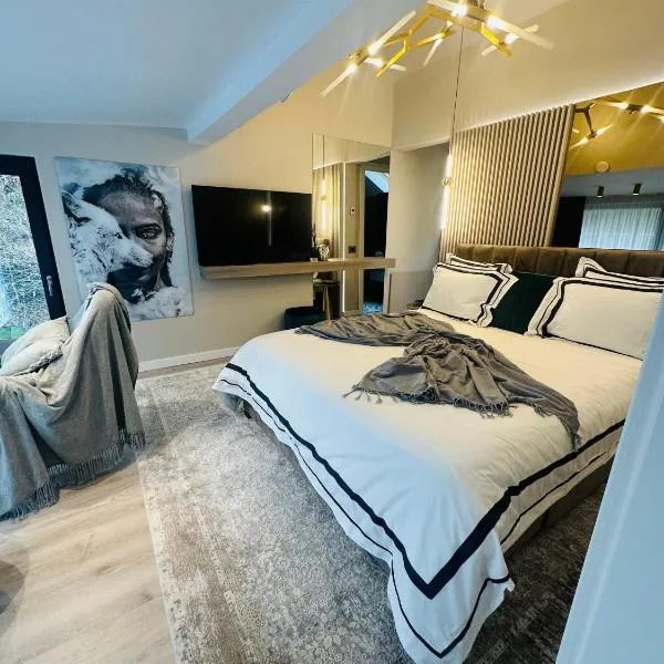 Alpin Heaven, готель у місті Димбовічйоара