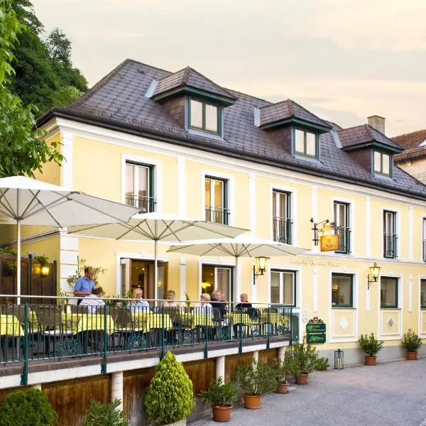 Landgasthof Zur schönen Wienerin, hotel in Marbach an der Donau