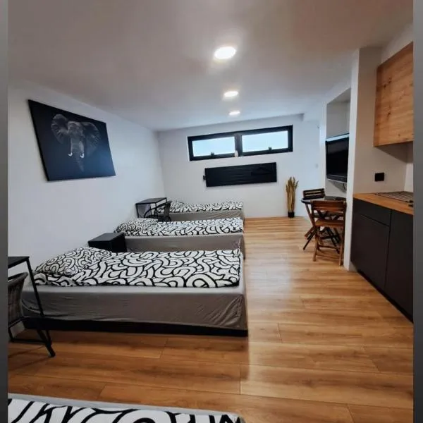 Apartamet typu studio ELEPHANT dla 4 osób, hotel in Płock