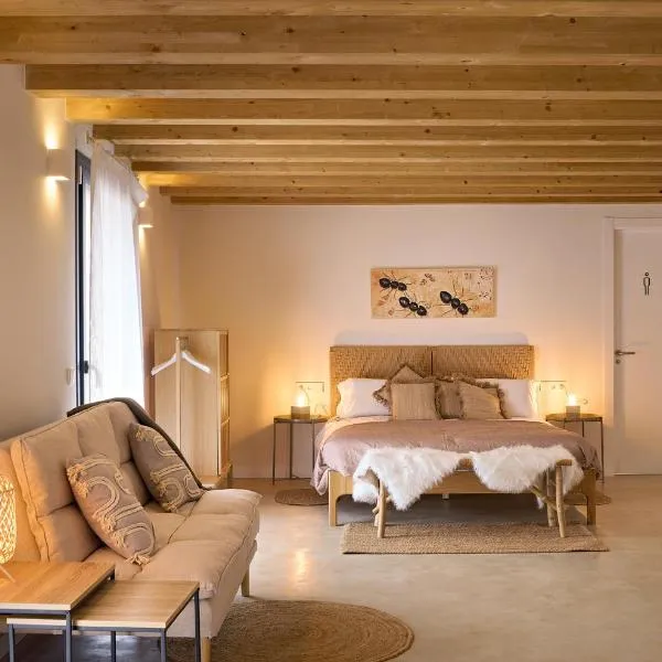 Masia Cal Rosta, hotel in Oden