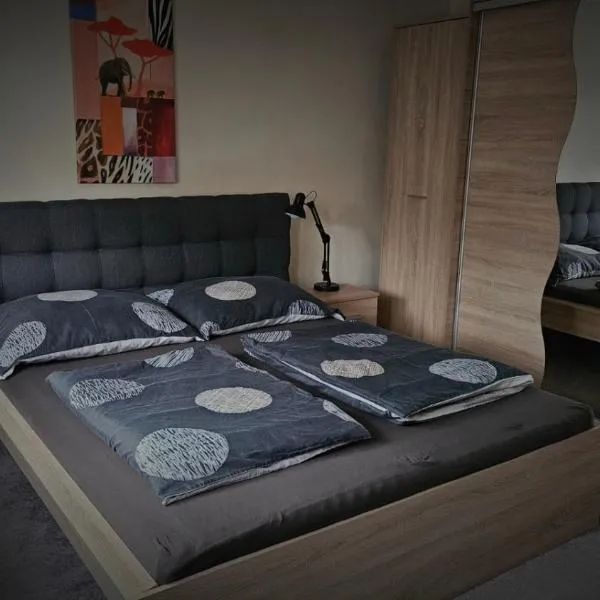 Lotti Apartman, hotel Békéscsabán