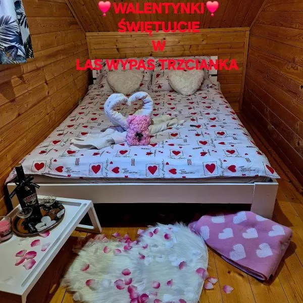 Noclegi "LAS WYPAS" Trzcianka, hotel u gradu Tšćanka