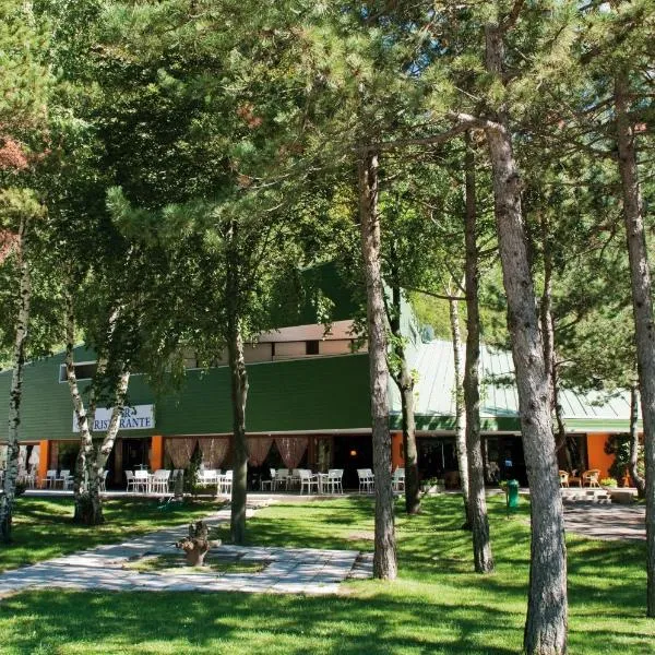 Hotel Carnia, hotel in Moggio Udinese