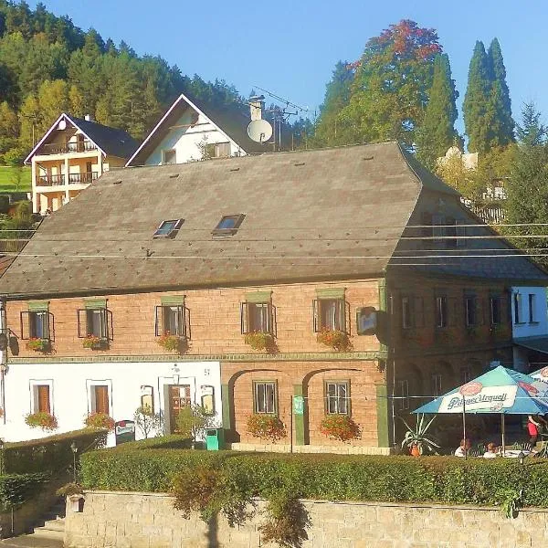 Penzion Dřevák, hotel v mestu Jetřichovice