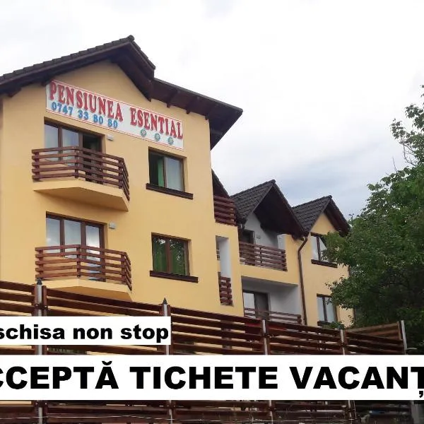 Pensiunea Esential, hotel a Ocnele Mari
