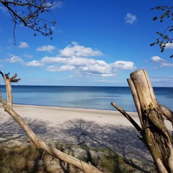 Suite WIDAR - Odins Blick Wohnung 2 - Privatstrand, Sauna, Garten, hotel en Lobbe