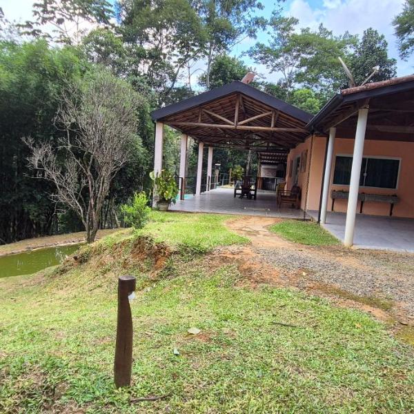 Recanto Palmeira - Foto 3