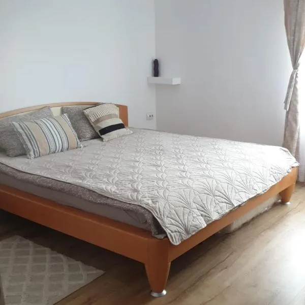 Casa OFI, hotel in Tăşnad