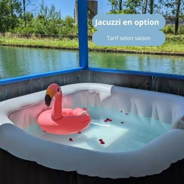 Cottage flottant jacuzzi privé en option gamme supérieure, hotel in Saint-Jean-de-Losne