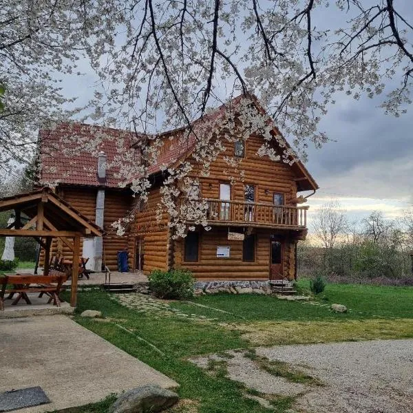 Valea Vistisoarei, hotel u gradu Vistisoara