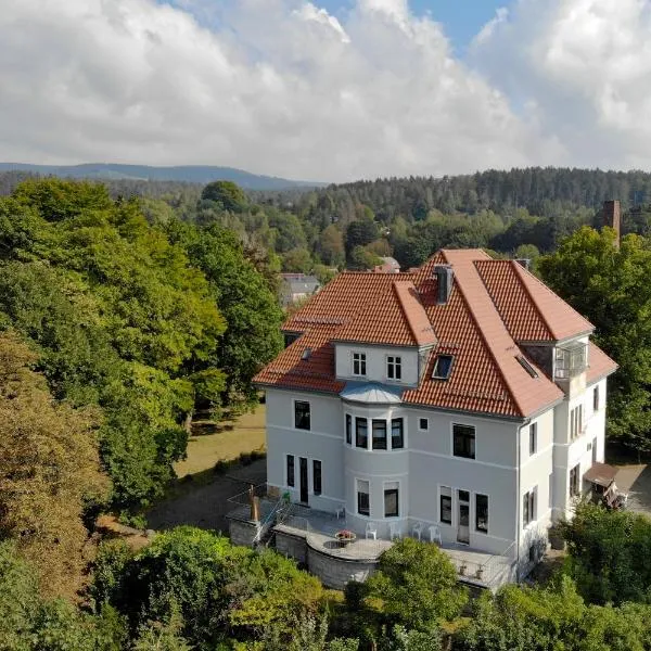 Parkvilla Köhler, hotel v destinaci Zella-Mehlis