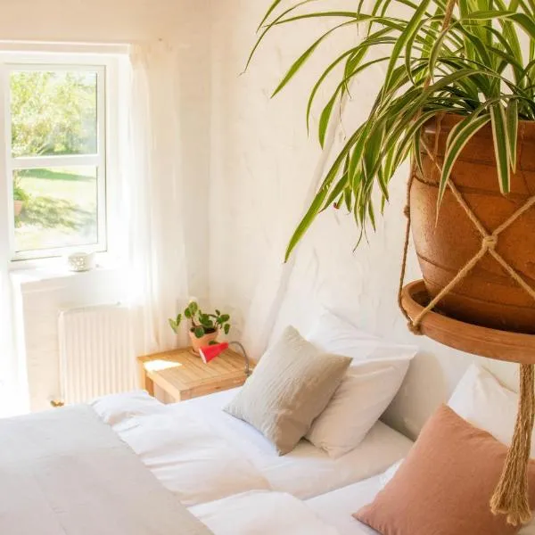 Rødegaard Mols, hotel v destinaci Knebel