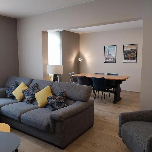 Superbe appartement à Strasbourg, hotel in Strasbourg