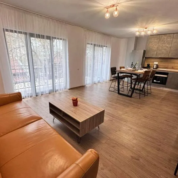 Spacious sunny flat with 2 bedrooms in the heart of Plovdiv, hotel in Plovdiv