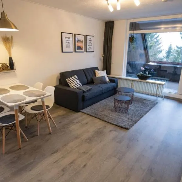 Moderne Ferienwohnung Snow & Bike Winterberg 2-4 Personen direkt am Skilift und in der Nähe des Bikeparks, hotel em Winterberg