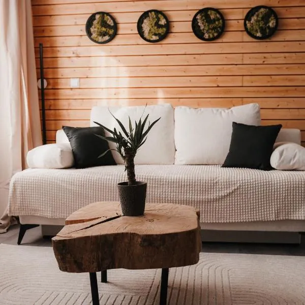 Schwarzwald Apartment, hotel in Sasbachwalden