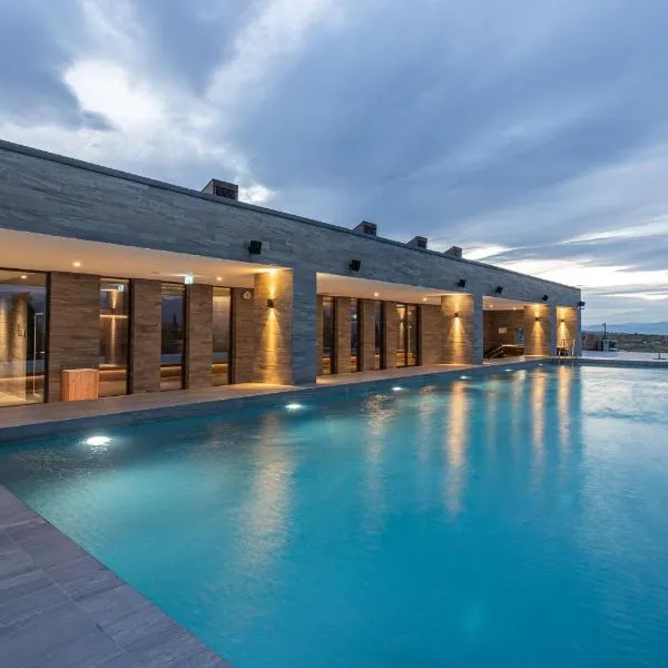 Tsinandali Estate, A Radisson Collection Hotel, hotel in Tsinandali