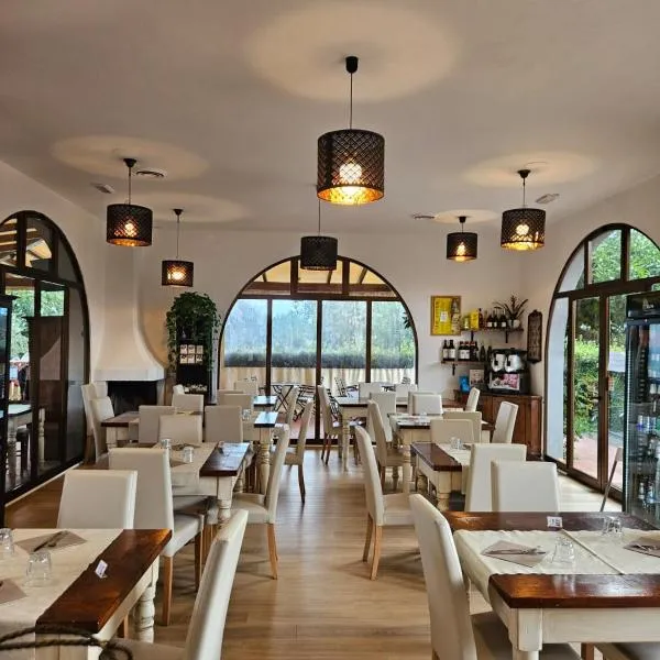 Airone Pisa Hotel Ristorante, hotel in Pisa