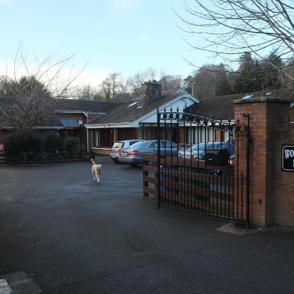 Woodville B&B, hotel in Bray