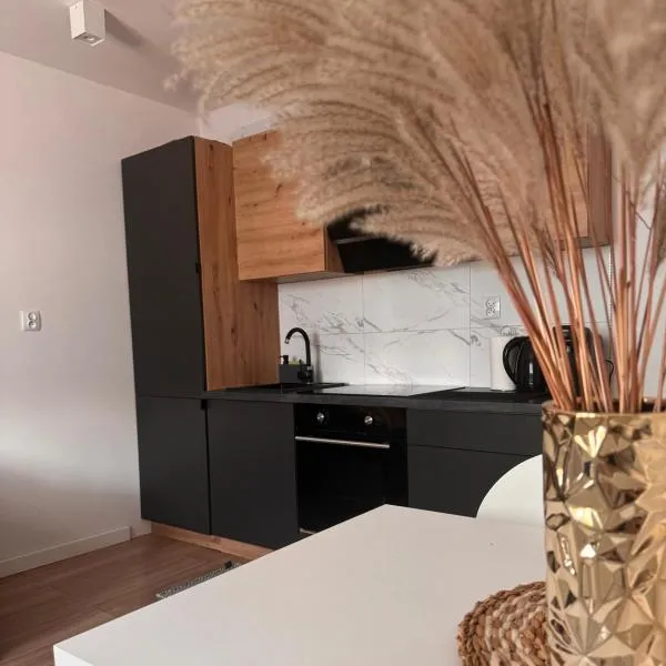 Dominica Apartments, hotel v destinaci Żary