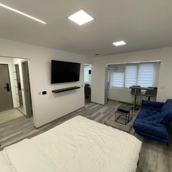 Smart Studio, hotel in Petrila