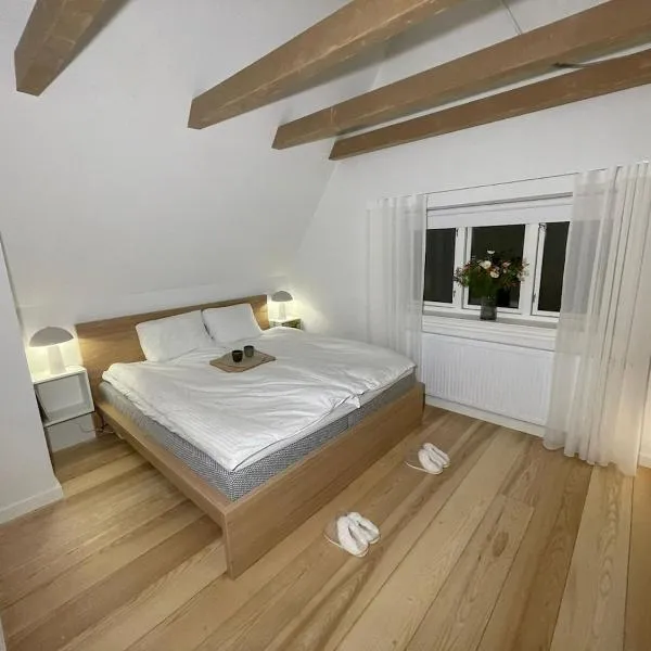 Modern & Unique property in Odense centrum - FREE PARKING, hotel in Odense