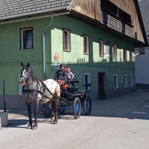 Sigma house, hotel v destinaci Mojstrana