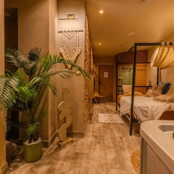 Pandora Spa Lille, hotel v destinaci Lille