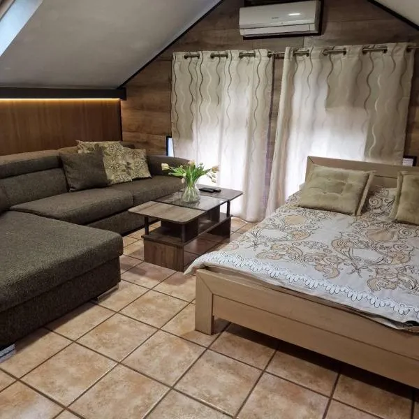 Guest House Maja, hotel v destinaci Novi Sad
