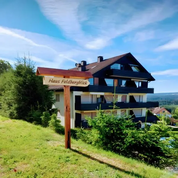Ferienwohnung Waldkäuzle27, hotel in Lenzkirch