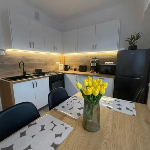 Apartament Jaśminowa, hotelli kohteessa Chrzanów