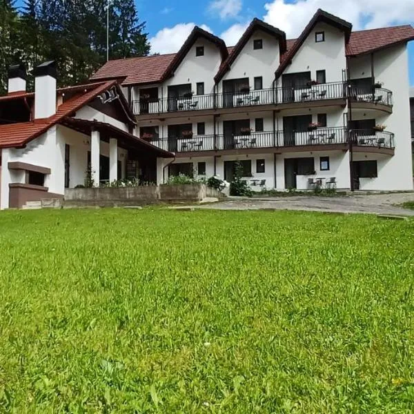 Pensiunea Stefania, hotel v destinaci Lacu Rosu