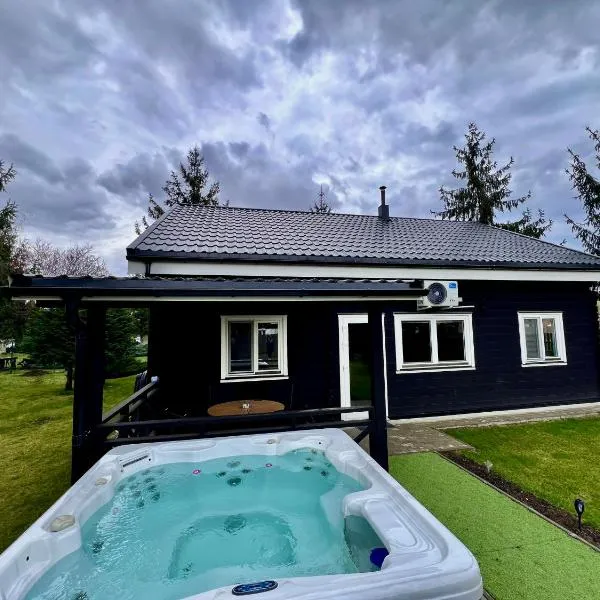 Vila Scandinavia, hotel v destinaci Singeorgiu de Mures