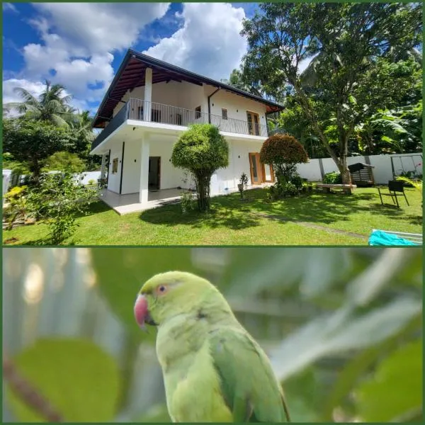 Parrot Paradise Negombo, hotel in Negombo